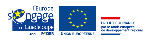 Logo Europe FEDER Guadeloupe - Site web cofinancé par l'Europe